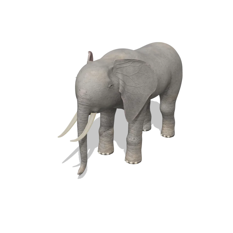 African Elephant — free 3D model