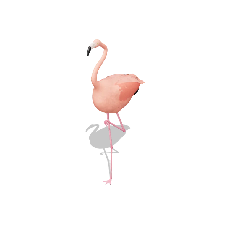 American Flamingo — free 3D model