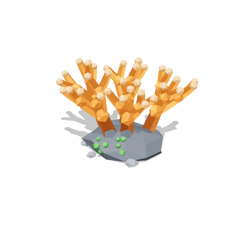 Coral — free 3D model