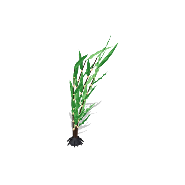 Kelp — free 3D model