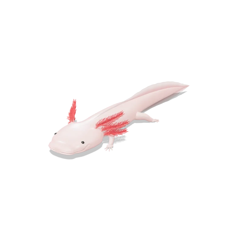 Axolotl — free 3D model