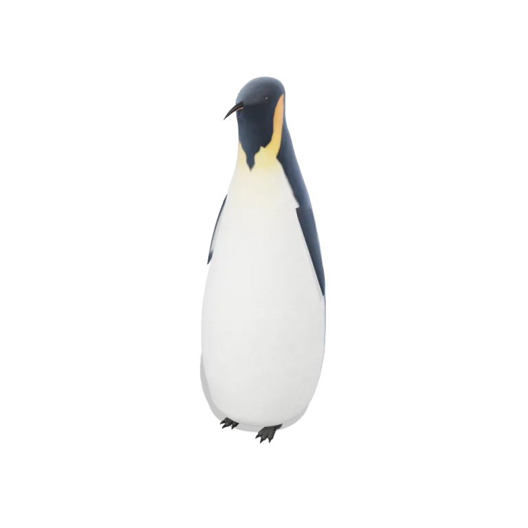 Emperor Penguin 3D model