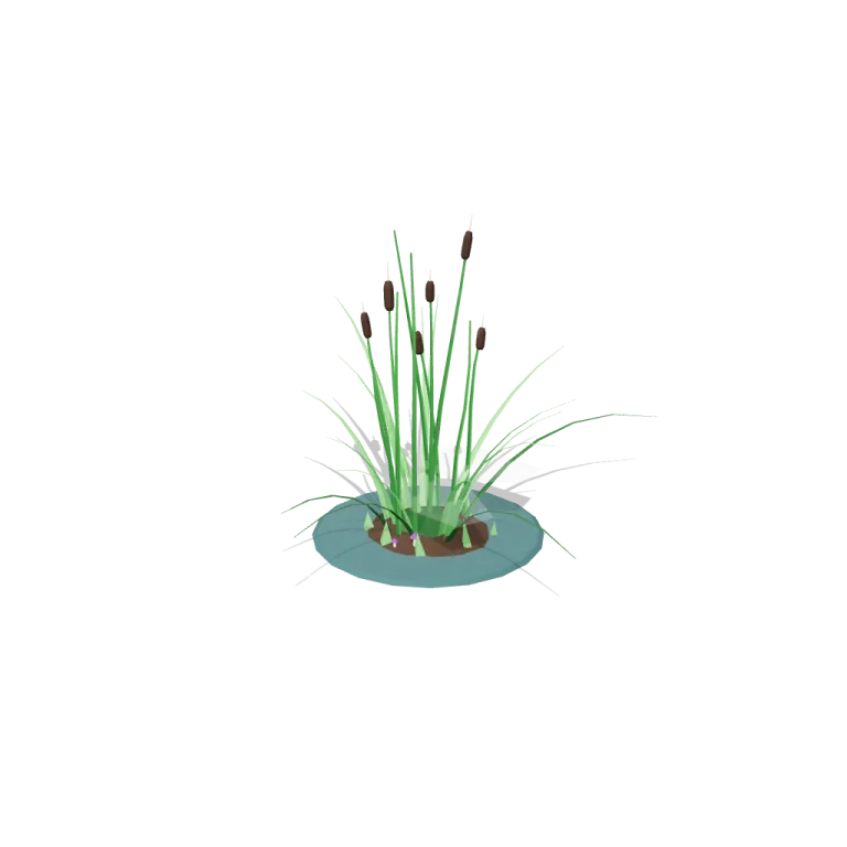 Reeds — free 3D model