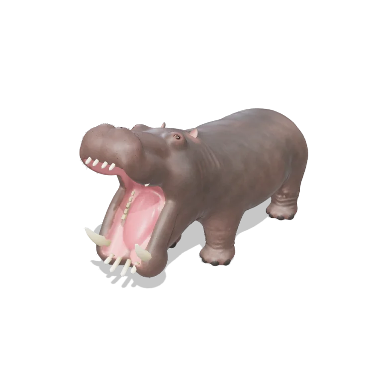 Hippopotamus — free 3D model