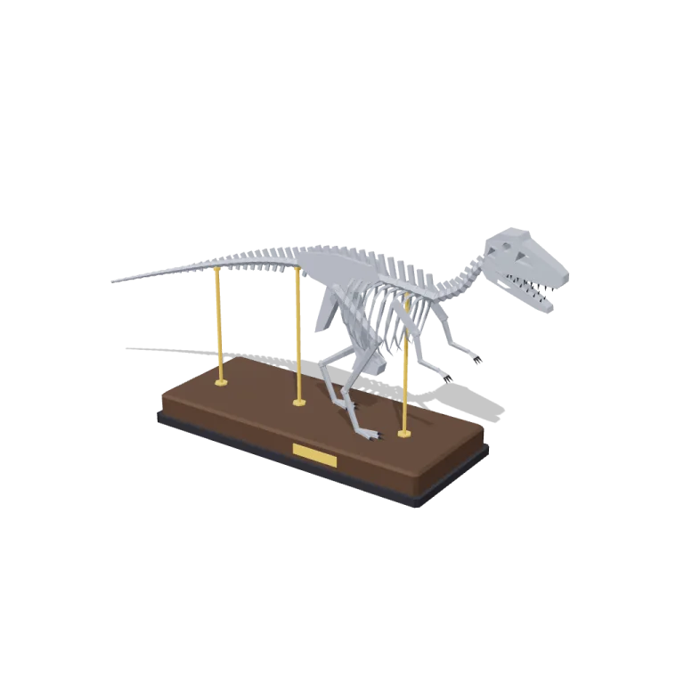 Skeleton — free 3D model