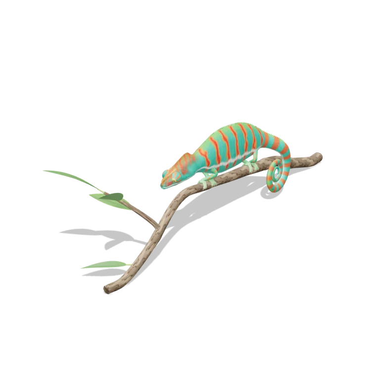 Panther Chameleon — free 3D model