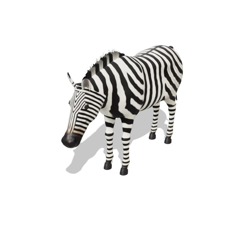 Plains Zebra — free 3D model