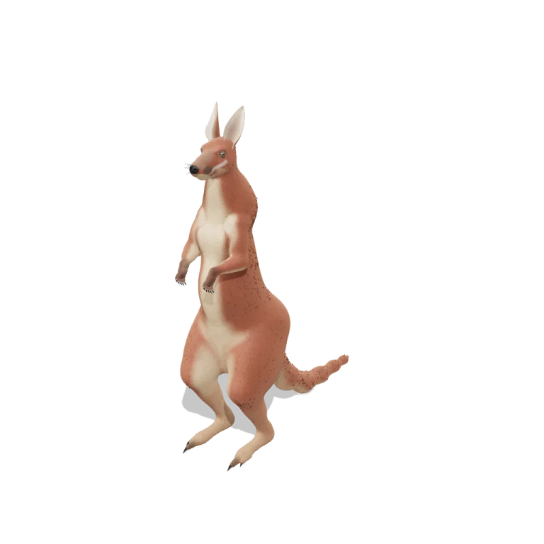 Red Kangaroo — free 3D model