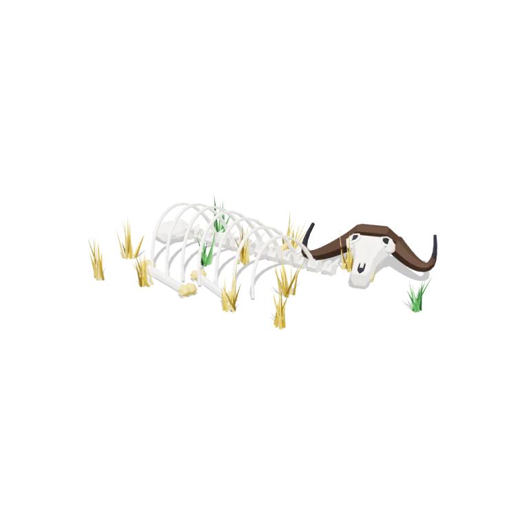 Bones — free 3D model