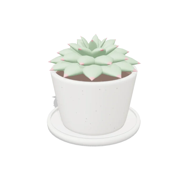 Succulent in Pot — free 3D model