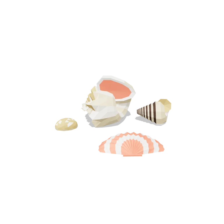 Shells — free 3D model