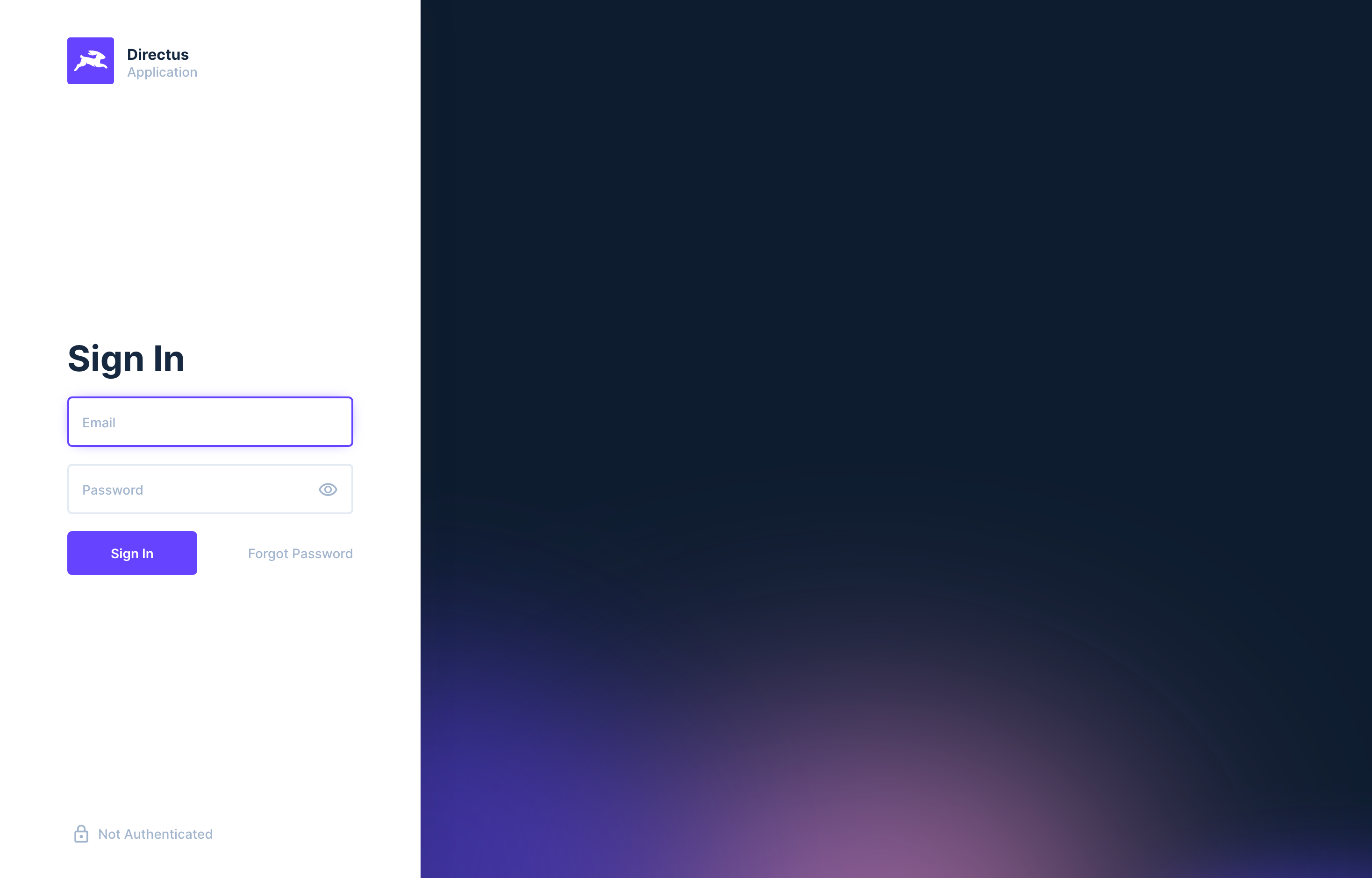 The deployed Directus login screen loaded in a browser