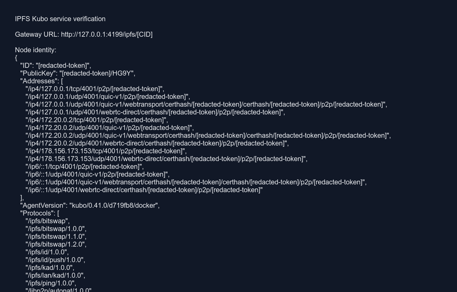 IPFS Kubo service verification output from logs
