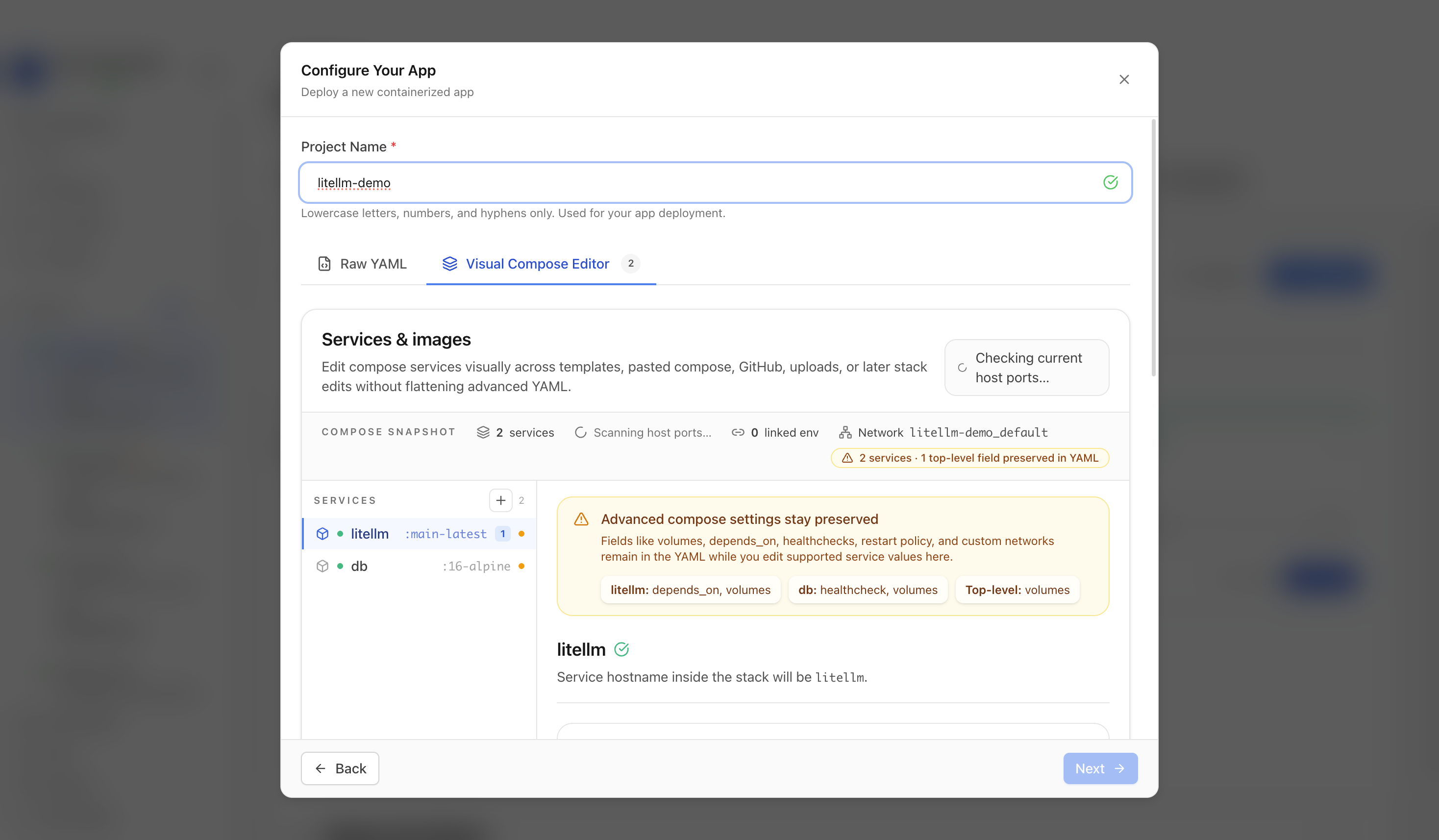 Reviewing LiteLLM project settings and compose services