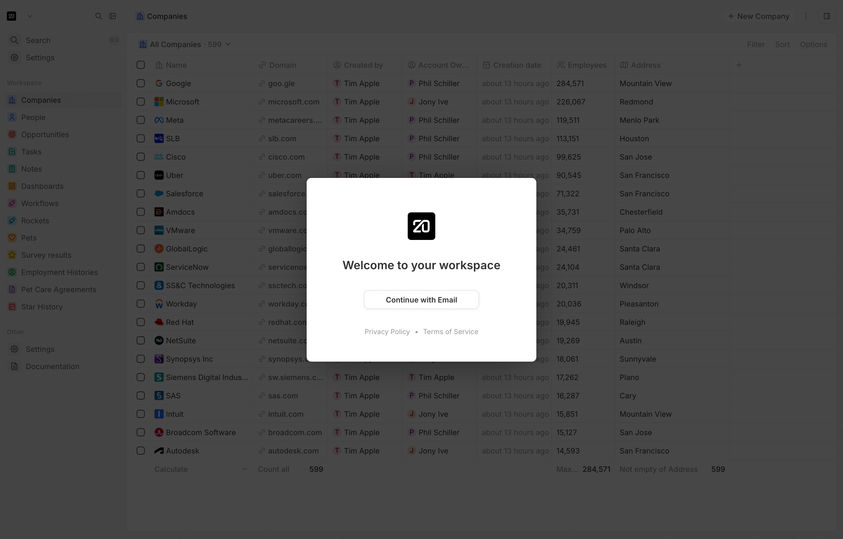 The deployed Twenty CRM workspace UI loaded in a browser
